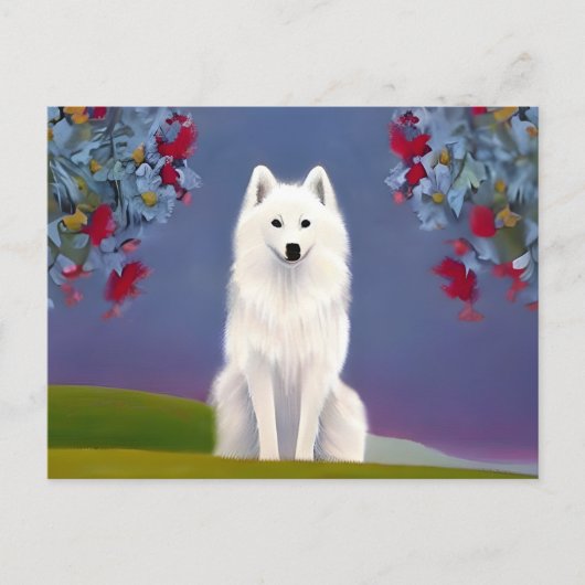 Animal American Eskimo Postkarte (Vorderseite)
