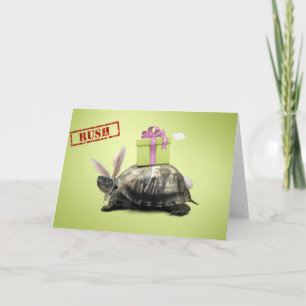 Animal Antics - Geburtstag, Grußkarte Karte