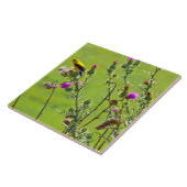 Animal - Bird - Thistle mir ein Lied Fliese (Seite)