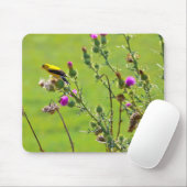 Animal - Bird - Thistle mir ein Lied Mousepad (Mit Mouse)