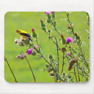 Animal - Bird - Thistle mir ein Lied Mousepad