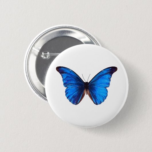 Animal Butterfly Insect Nature Morpho Blue Button (Vorne & Hinten)