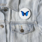 Animal Butterfly Insect Nature Morpho Blue Button (Beispiel)