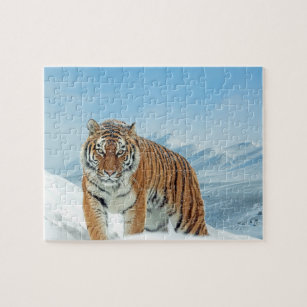 Animal Foto Snow Tiger Mountains Trendy Winter Puzzle