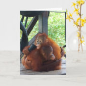 Animal Hugs Orangutan Baby Karte (Gelbe Blume)