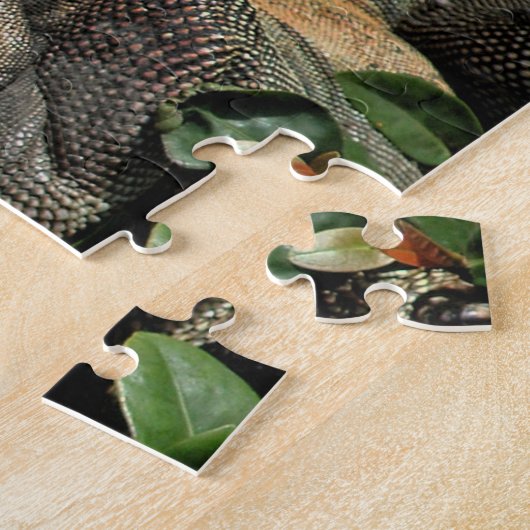 Animal Iguana Exotic Reptile Pet Lizard USVI Puzzle (Seite)