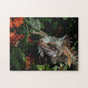 Animal Iguana Exotic Reptile Pet Lizard USVI Puzzle