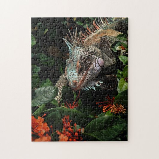 Animal Iguana Exotic Reptile Pet Lizard USVI Puzzle (Vertikal)