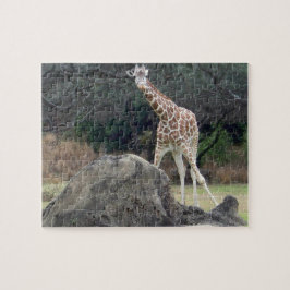 Animal kingdom Reticulated Giraffe Puzzle