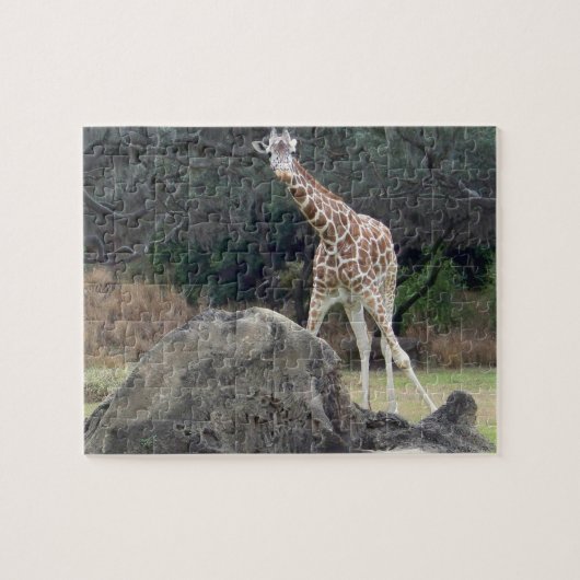 Animal kingdom Reticulated Giraffe Puzzle (Horizontal)