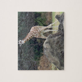 Animal kingdom Reticulated Giraffe Puzzle