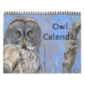 Animal Owl Bird Life Office Zuhause Destiny's Dest Kalender (Titelbild)