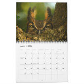 Animal Owl Bird Life Office Zuhause Destiny's Dest Kalender (Mär 2026)