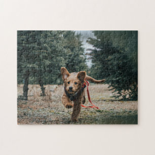 Animal Pic Niedlich Sad Puppy Welpenfotografie Tie Puzzle