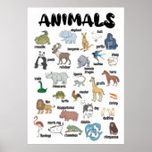 Animal Poster Wall Art (Vorne)
