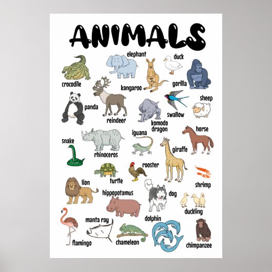 Animal Poster Wall Art (Vorne)