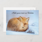*~* Animal Red Fox Ap18 Wildlife Künstlerisch anpa Postkarte (Vorne/Hinten)