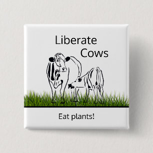 Animal Rights (For Cows) Pin Button
