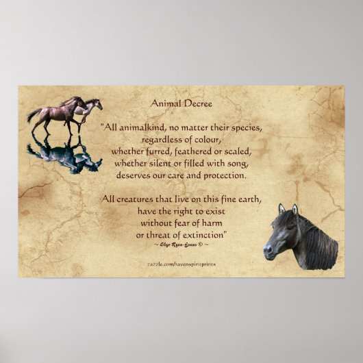 Animal Rights Poem & Spanish Mustangs Art Poster (Vorne)