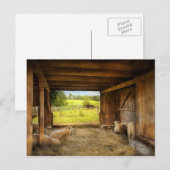 Animal - Sheep - Counting sheep Postkarte (Vorne/Hinten)