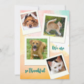 Animal Shelter Adoption Thank You Photo Card Einladung (Vorderseite)