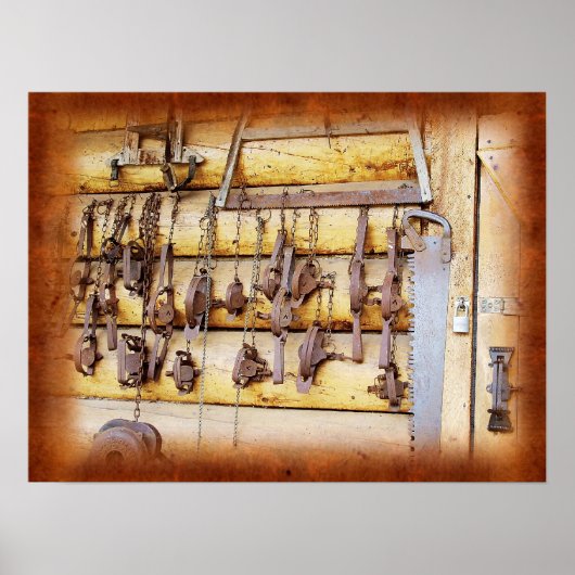 Animal Traps in Alaska Poster (Vorne)