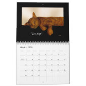 Animal Watercolor Calendar Kalender (Mär 2026)