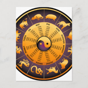 Animal Yin Yang Postkarte