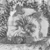 AnimalArtBW_Cat_07 Aufkleber (Vorderseite)