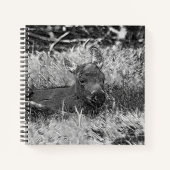 AnimalArtBW_Moose_001 Notizblock (Vorderseite)