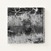 AnimalArtBW_Moose_001 Notizblock (Rückseite)