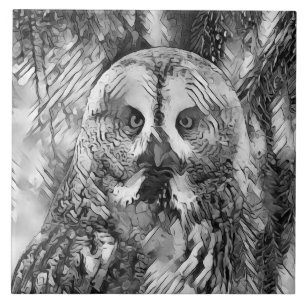 AnimalArtBW_Owl_001 Fliese