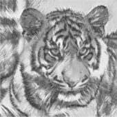 AnimalArtBW_Tiger_009 Aufkleber (Vorderseite)