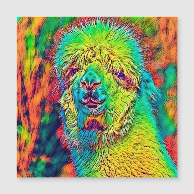 AnimalColor_Alpaca_005 Magnetkarte (Vorderseite)