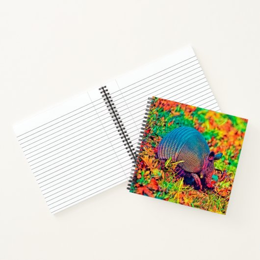 AnimalColor_Armadillo_001 Notizblock (Innenseite)