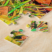 AnimalColor_Armadillo_001 Puzzle (Seite)