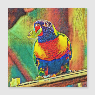 AnimalColor_Bird_07 Magnetkarte
