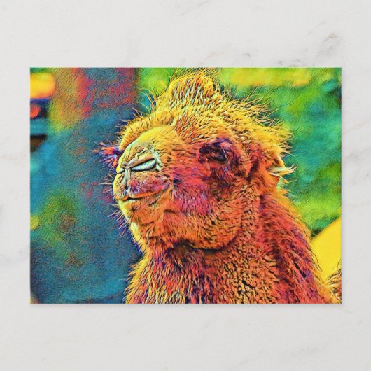 AnimalColor_Camel_07 Postkarte (Vorderseite)
