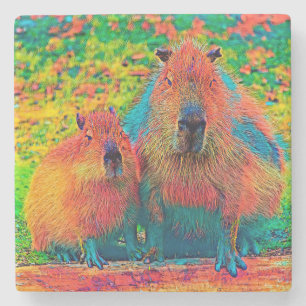 AnimalColor_Capybara_002 Steinuntersetzer