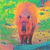 AnimalColor_Capybara_011 Aufkleber (Vorderseite)
