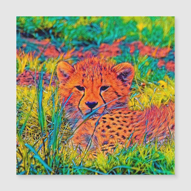 AnimalColor_Cheetah_017 Magnetkarte (Vorderseite)