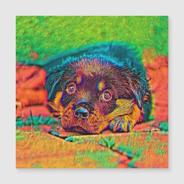 AnimalColor_Dog_002 Magnetkarte (Vorderseite)