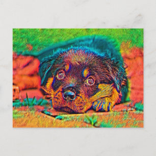 AnimalColor_Dog_002 Postkarte