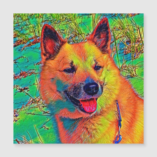 AnimalColor_Dog_014 Magnetkarte (Vorderseite)