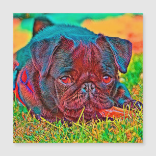 AnimalColor_Dog_026 Magnetkarte