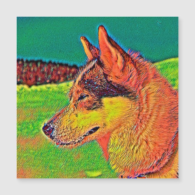 AnimalColor_Dog_039 Magnetkarte (Vorderseite)