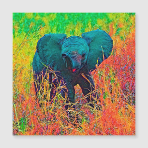AnimalColor_Elephant_002 Magnetkarte