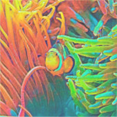 AnimalColor_Fish_001 Aufkleber (Vorderseite)