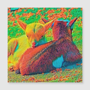 AnimalColor_Goat_001 Magnetkarte
