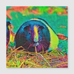 AnimalColor_Guineapig_002 Magnetkarte